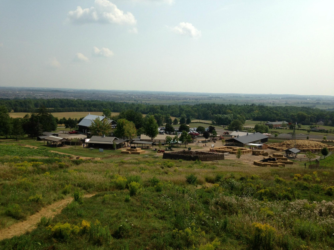 Springridge Farm-Milton必去景点