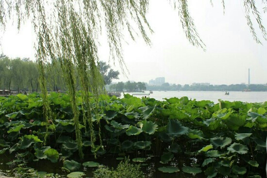 大明湖公园-济南市必去景点