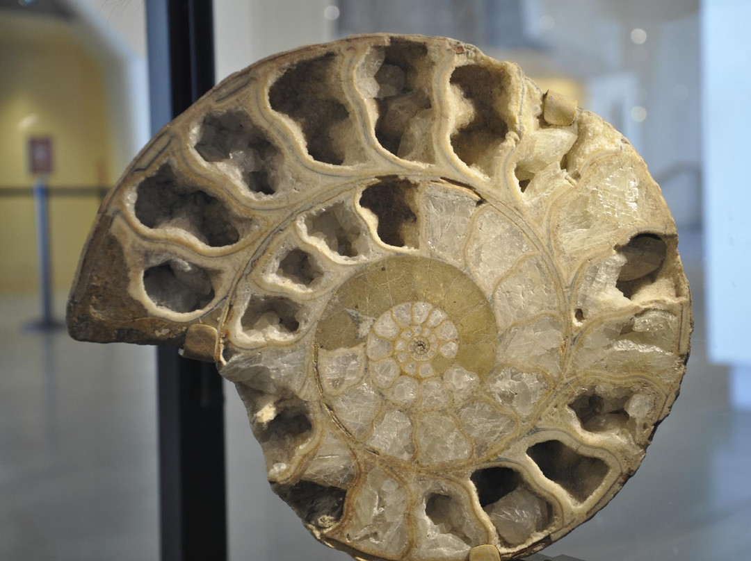 犹他州自然历史博物馆-盐湖城必去景点