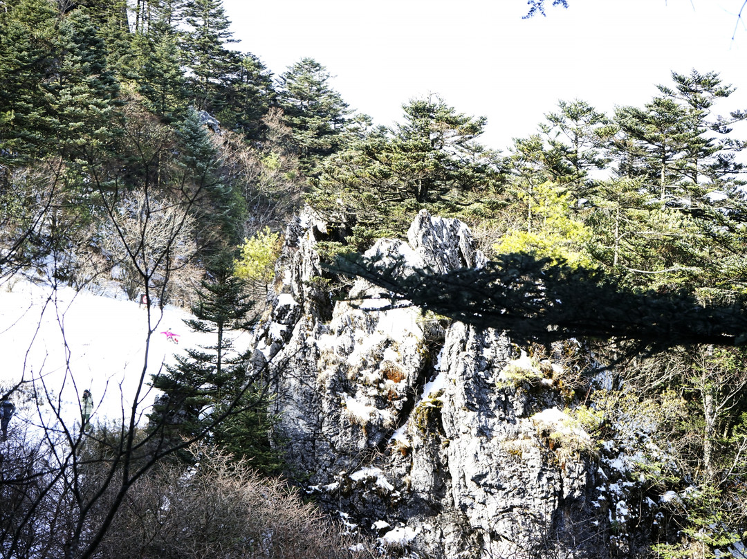 神农顶国家自然保护区-神农架林区必去景点