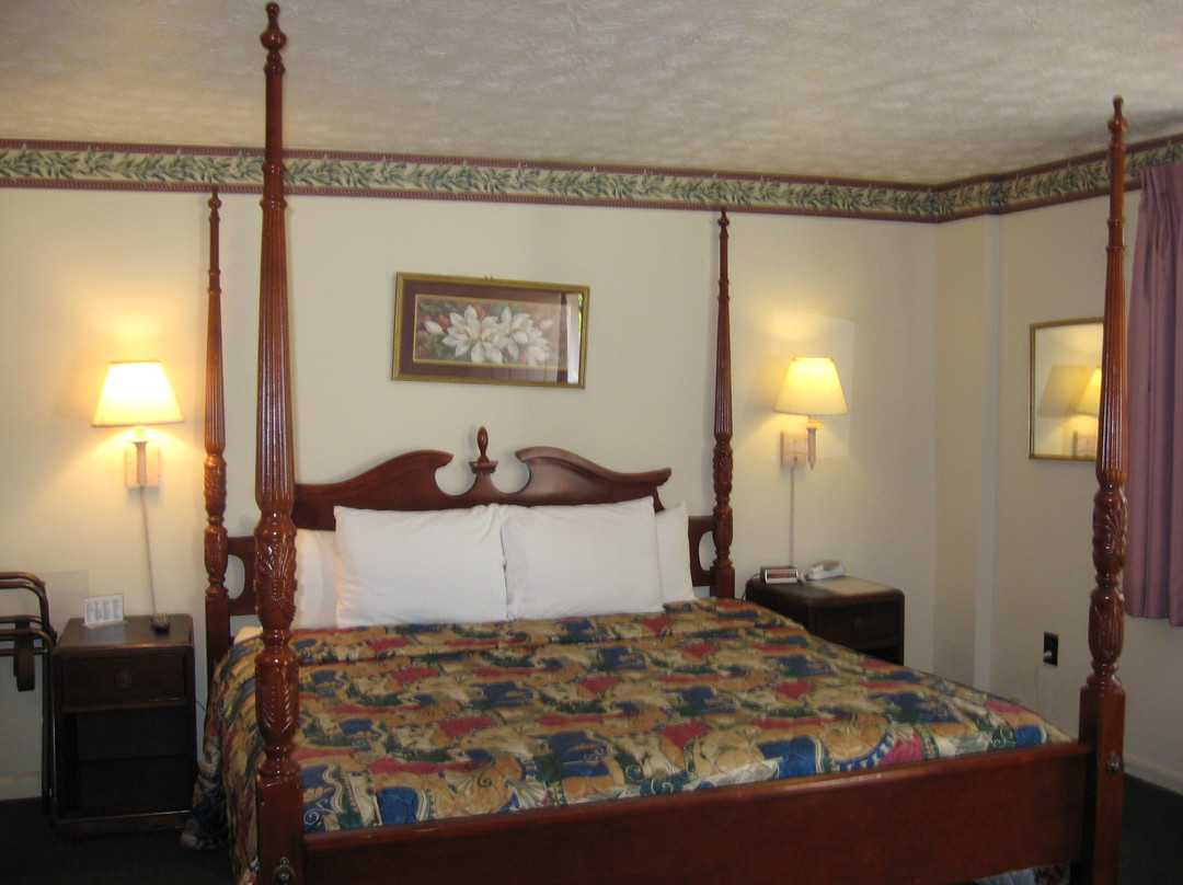 White Columns Motel主图