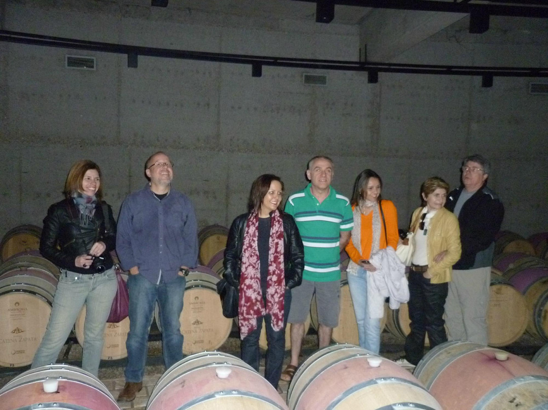 Vendimia Wine Tours-门多萨必去景点