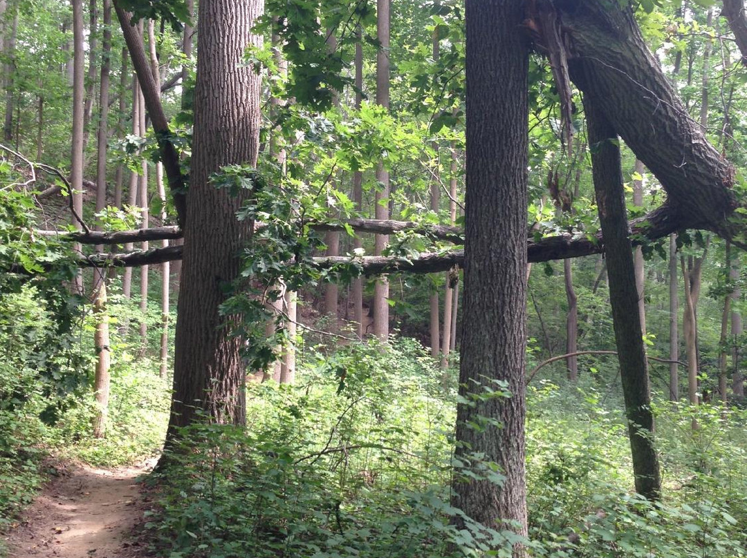 Hartshorne Woods Park-Highlands必去景点