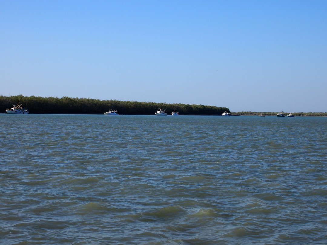 The Ferryman River Cruises-Karumba必去景点