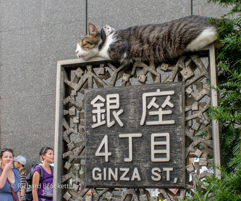银座-Ginza必去景点