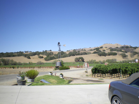 Zaca Mesa Winery-洛斯奥利沃斯必去景点