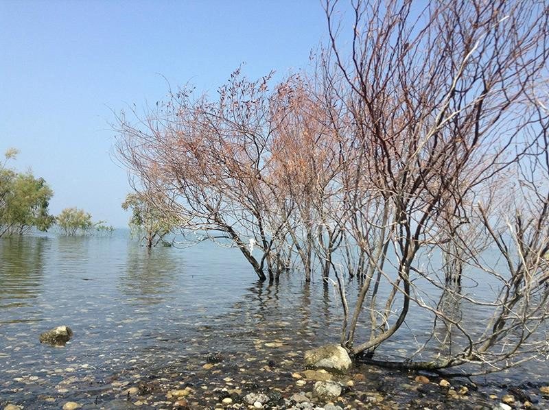 Kinar Holiday Village主图