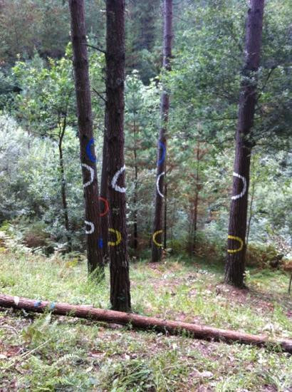 Bosque De Oma景点图片