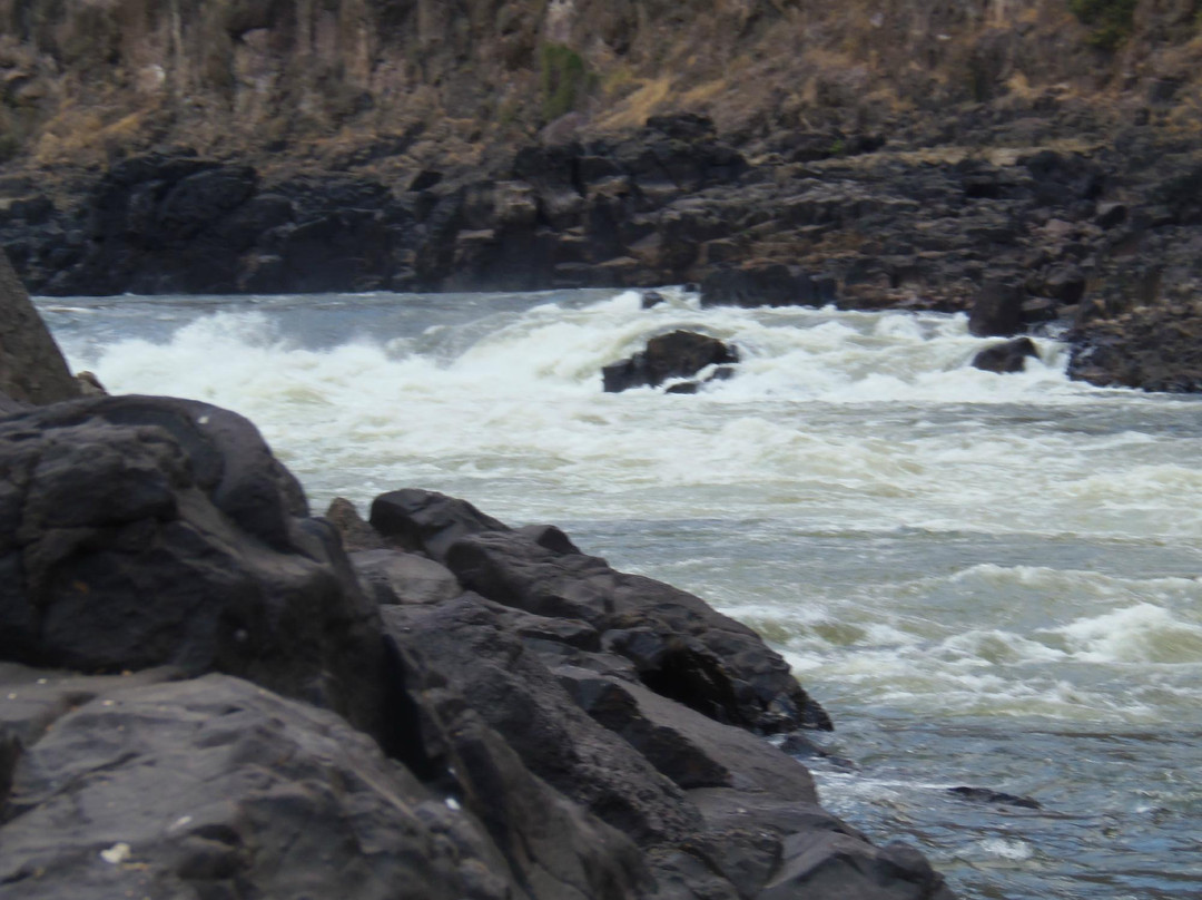 Zambezi Rafting Day Tours-李文斯顿必去景点