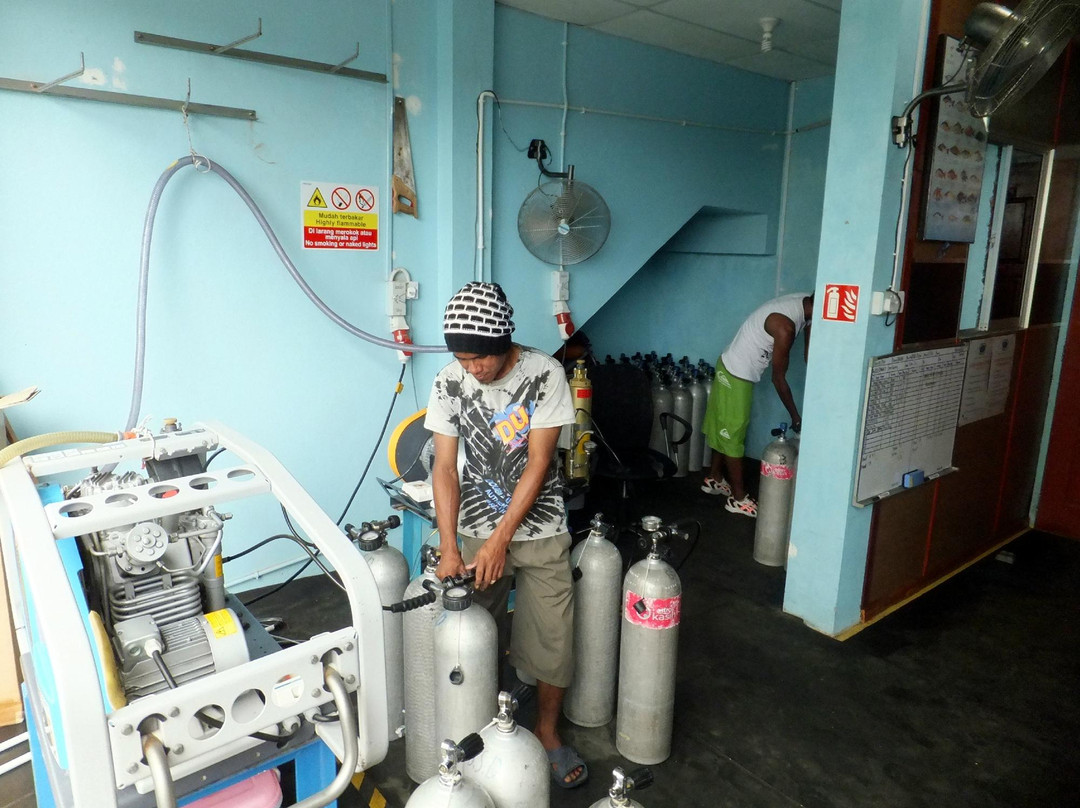 婆罗州快捷潜水-仙本那必去景点