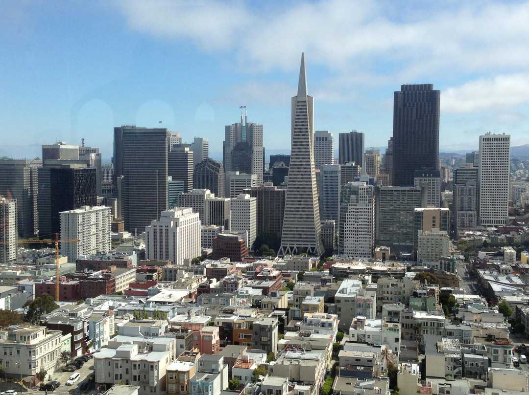 柯伊特塔-旧金山必去景点