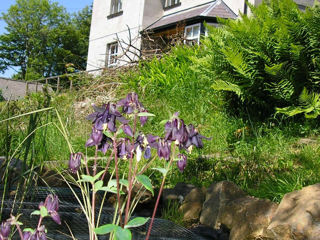 Pembrokeshire Massage景点图片