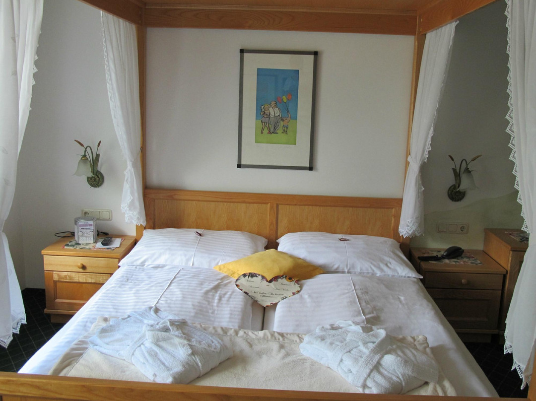 Hotel Mandl & Scheiblechner主图