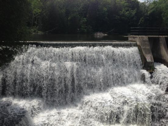 Belfountain Conservation Area-卡利登必去景点