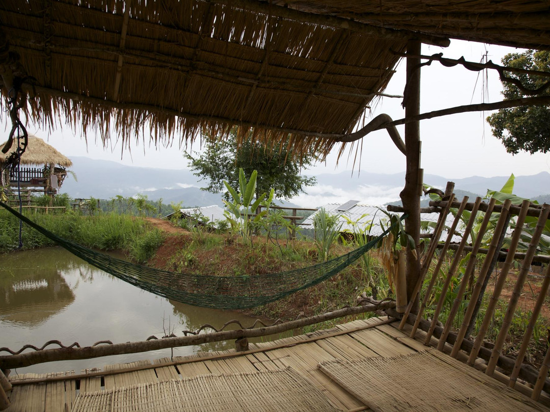 Next Step Thailand Ecotourism-清迈必去景点