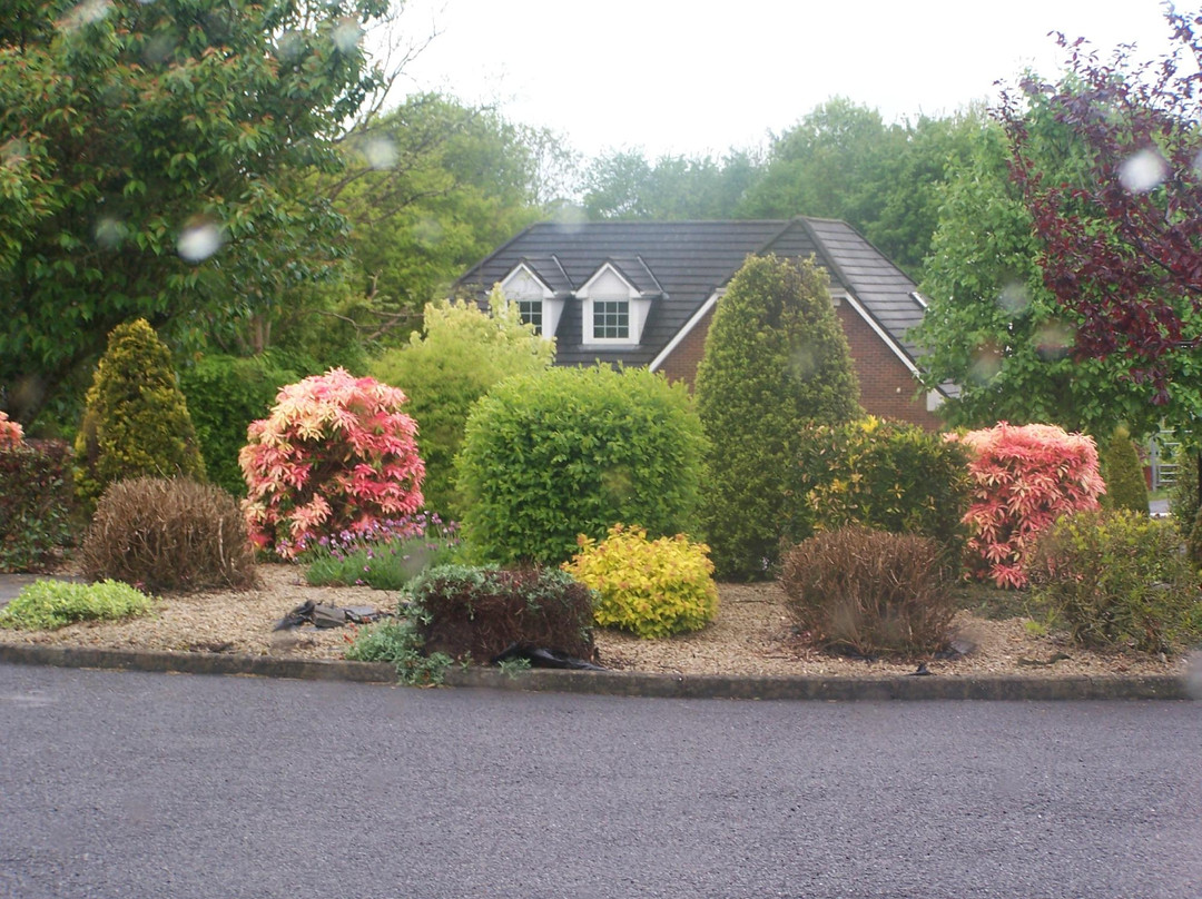 Killarney House Bed & Breakfast主图