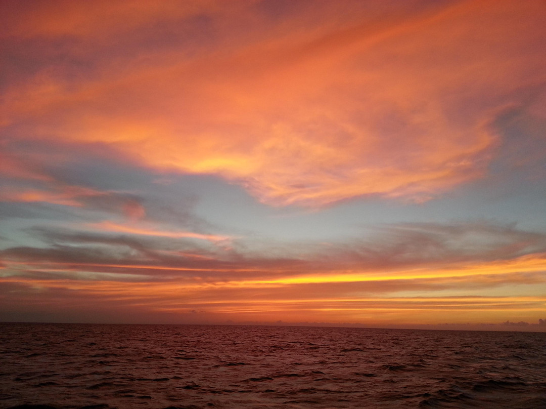 Underwater Oahu-怀厄奈必去景点