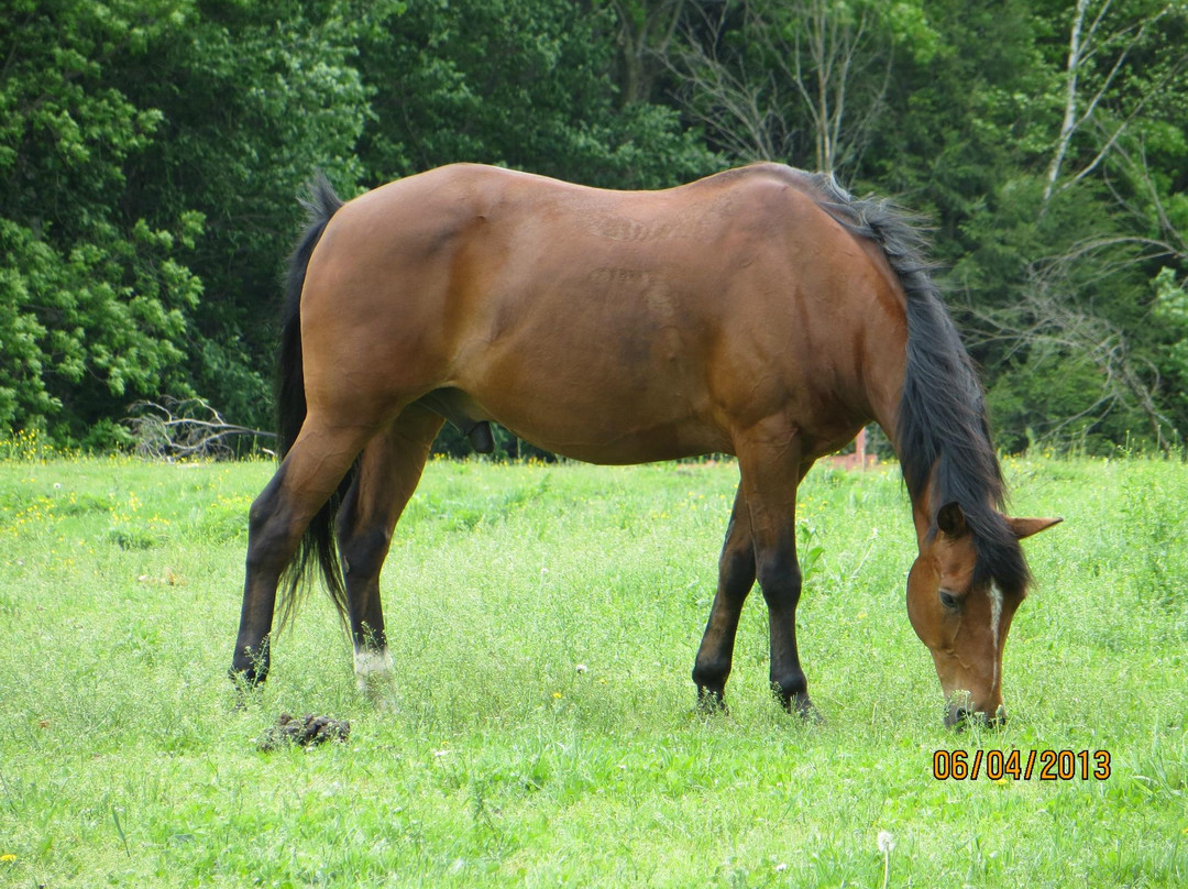 Mountain View Ranch-Danby必去景点