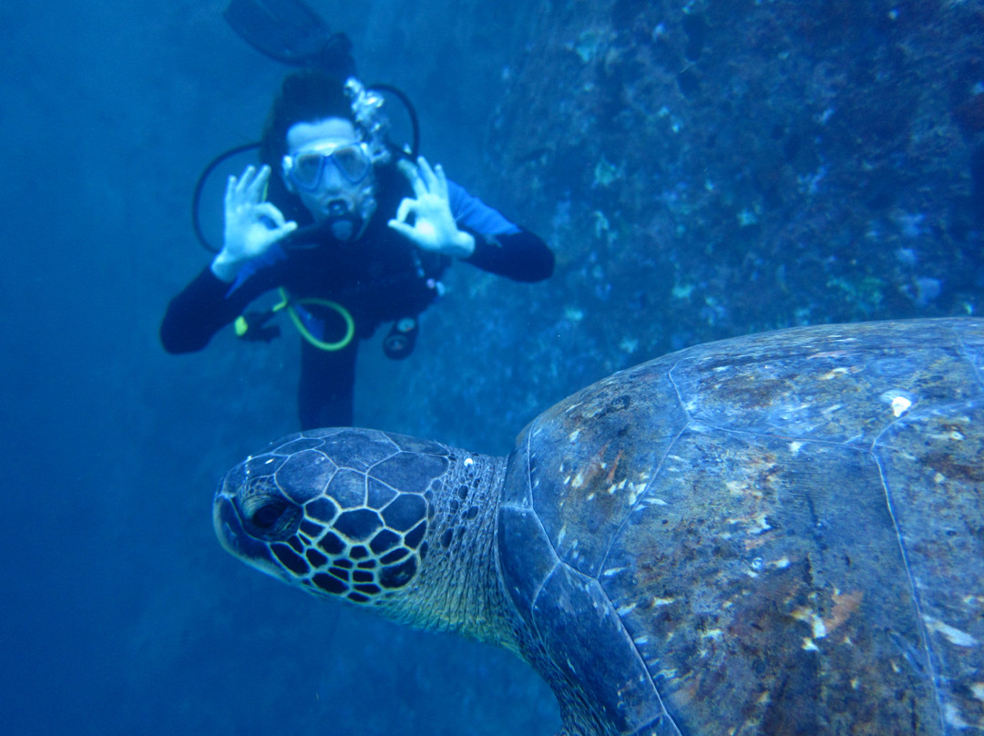 Galapagos Blue Evolution景点图片