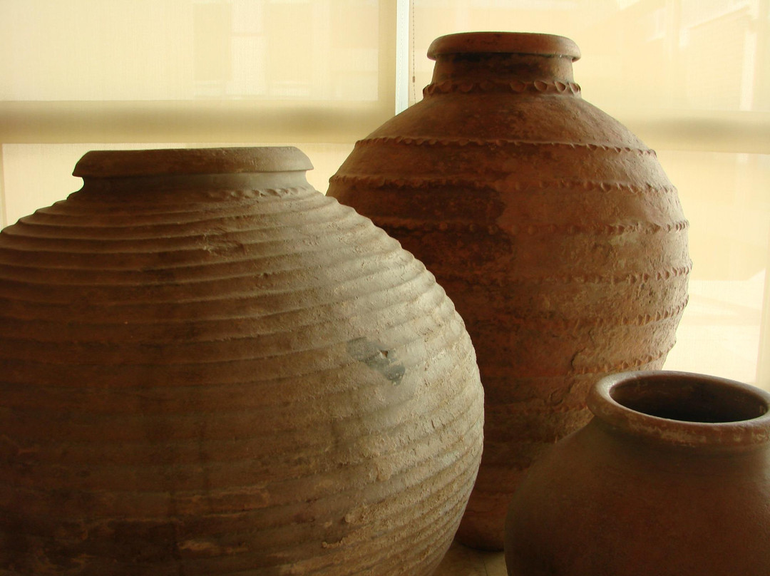 Santos Rocha Municipal Museum景点图片