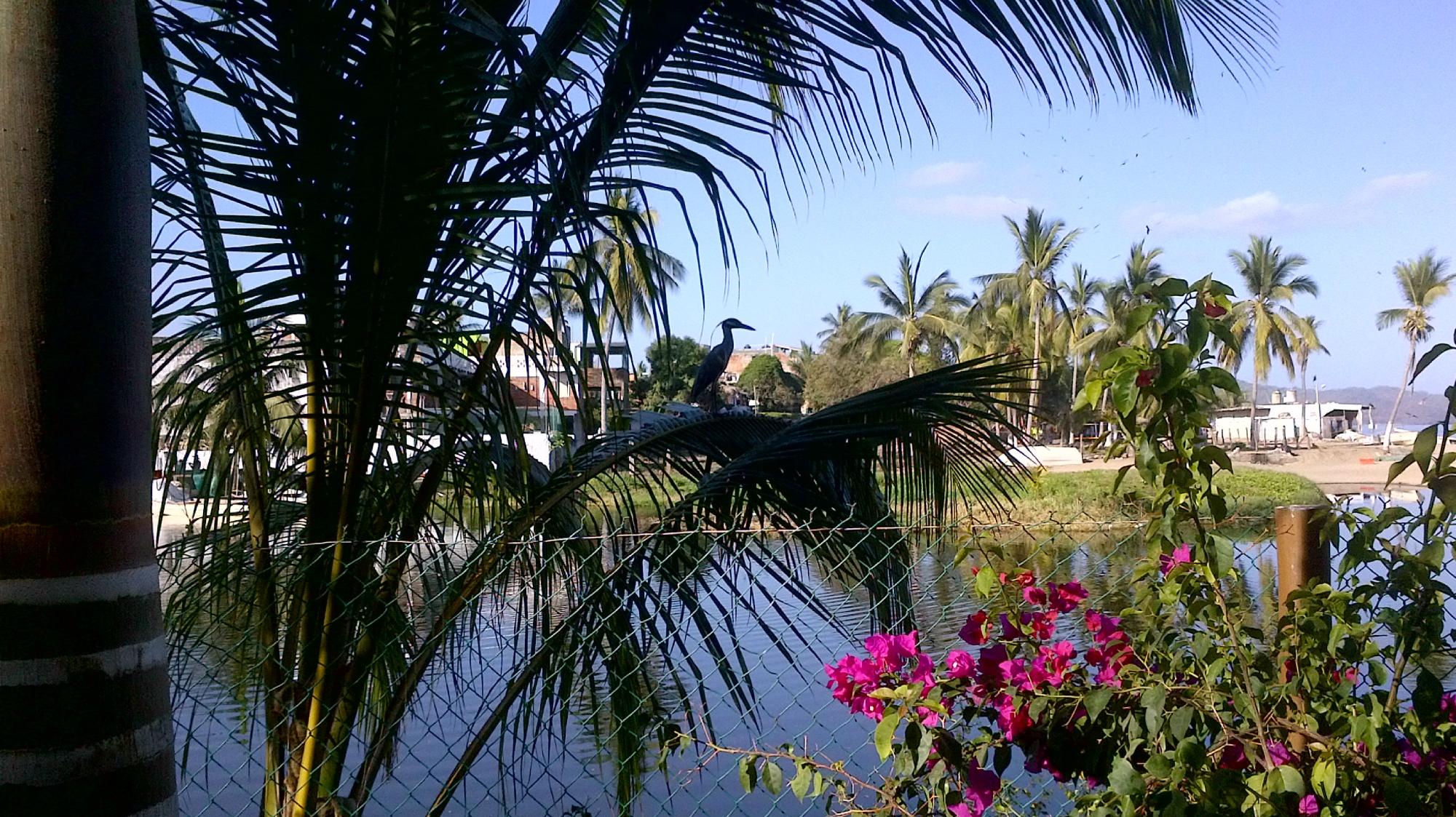 Sunset Casa-酒店景观