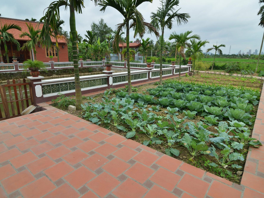 Yen Duc Village Tour-河内必去景点