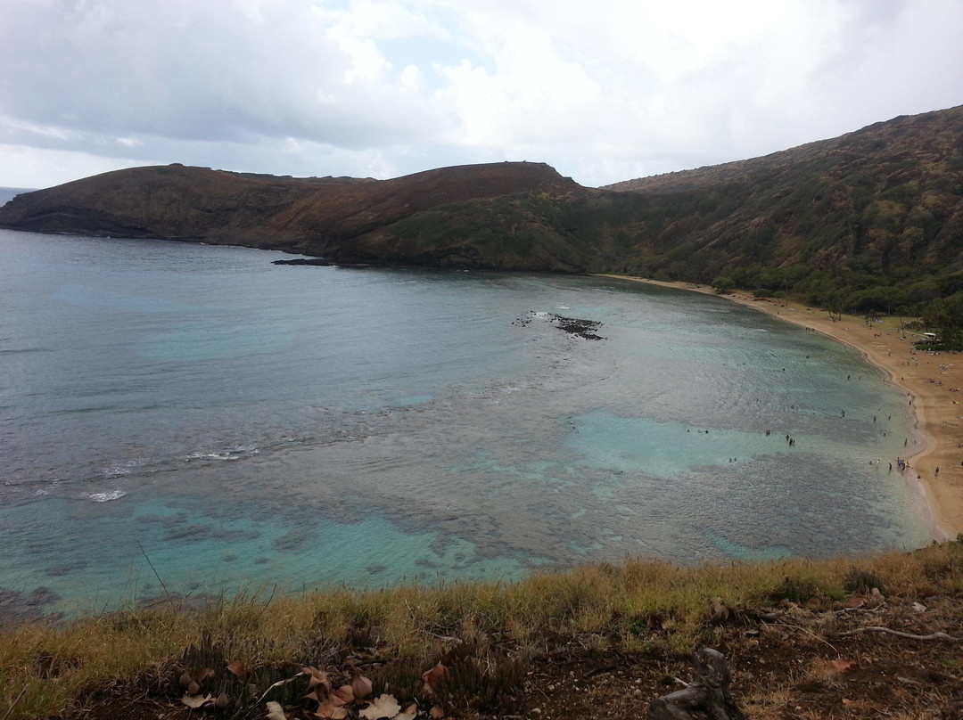 恐龙湾自然保护区-火奴鲁鲁必去景点