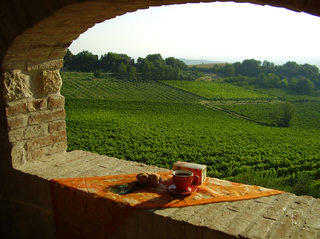 Agriturismo Monte Valbelle