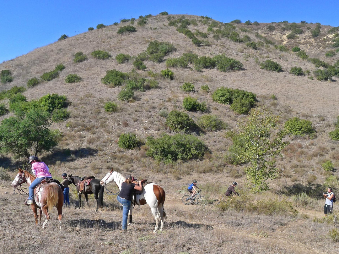 Limestone Canyon Wilderness Park-Silverado必去景点