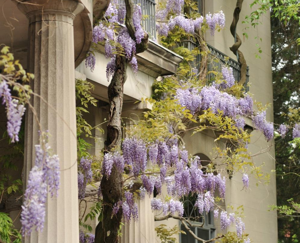 Van Vleck House & Gardens景点图片
