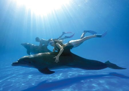 Vallarta Adventures-瓦拉塔港必去景点