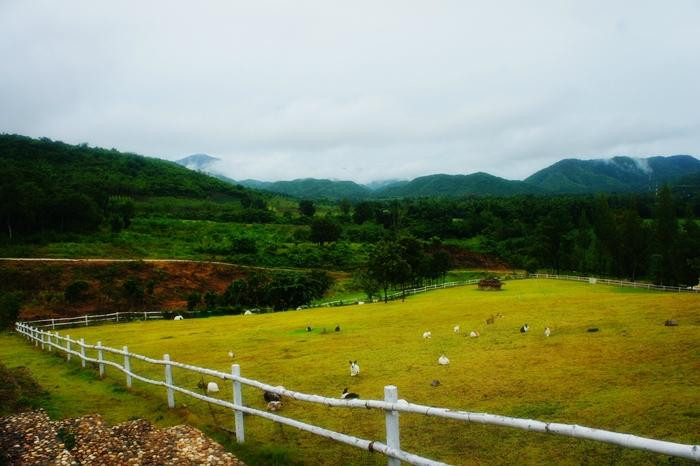 Morning Glory Resort & Bakery主图