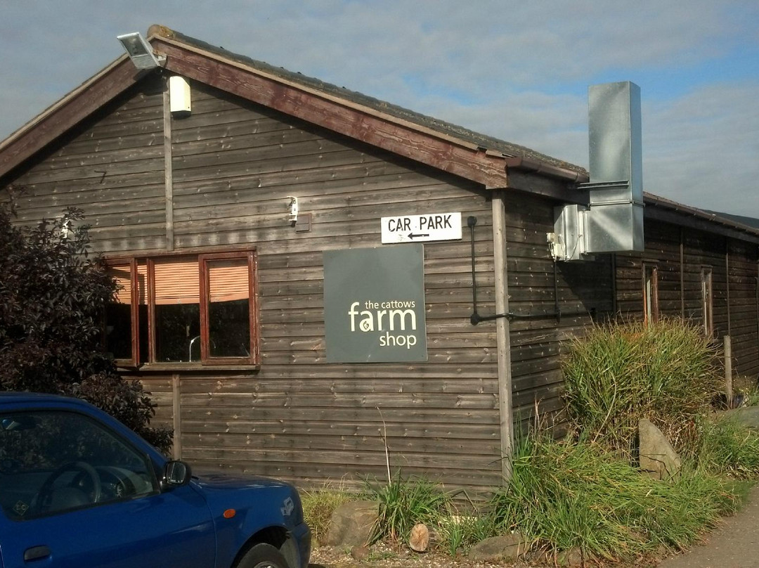 Newton Burgoland餐馆和美食-Cattows Farm & Tea Room