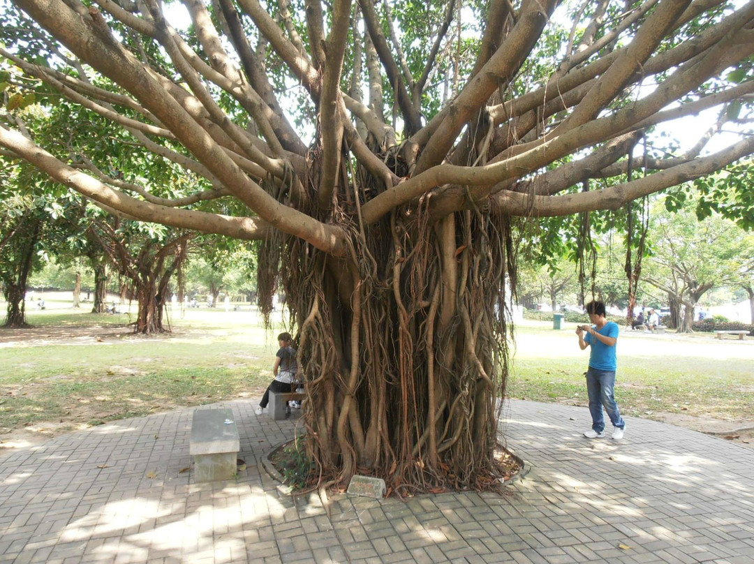 深圳莲花山公园-深圳市必去景点