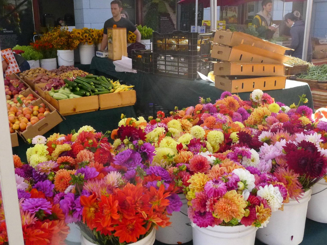 渡轮广场农夫市场-旧金山必去景点