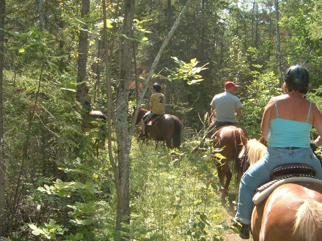 Honora Bay Riding Stables-Little Current必去景点