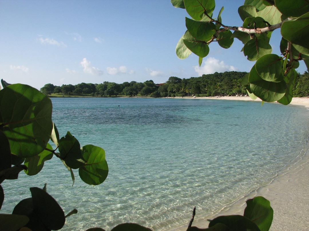 Scott Bay Beach-Caneel Bay必去景点