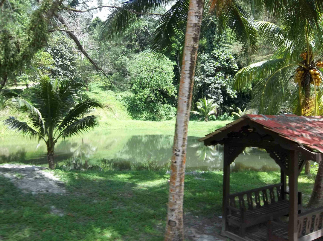 MARDI Langkawi Agro Technology Park景点图片
