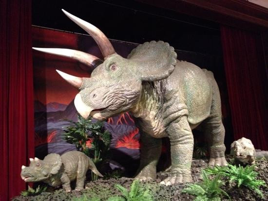 圣巴巴拉自然历史博物馆-圣巴巴拉必去景点