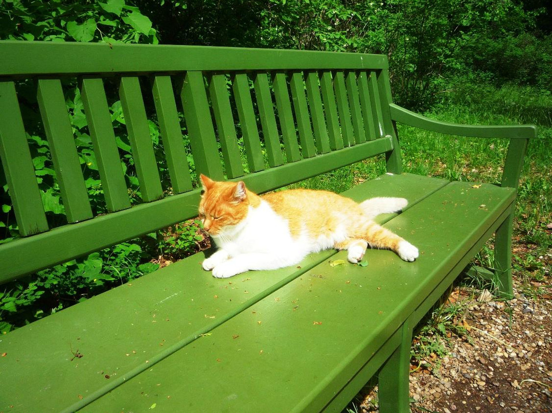 Pfaueninsel-柏林必去景点