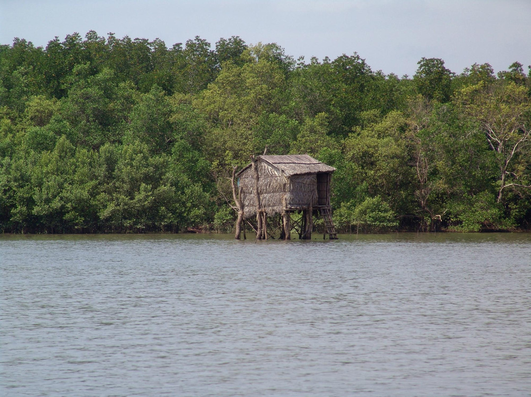 Vam Sat Salt-Marsh Forest Ecological Tourist Center-胡志明市必去景点