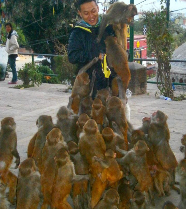 苏瓦扬布佛塔-加德满都必去景点