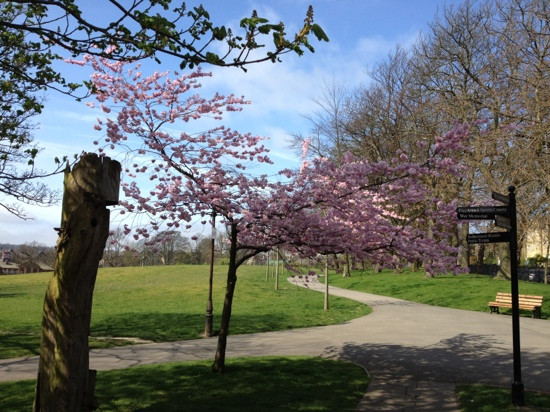 Greenhead Park景点图片