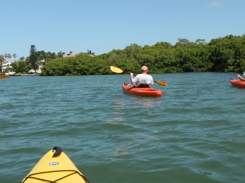 Sea Life Kayak Adventures-萨拉索塔必去景点