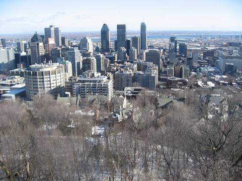 Fitz Montreal Bike & Walking Tours-蒙特利尔必去景点