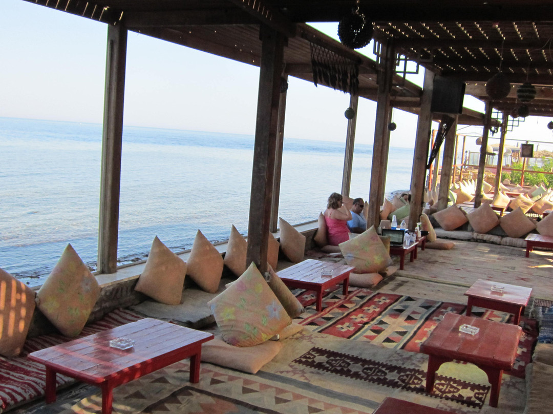 Shams Dive Centre-达哈卜必去景点