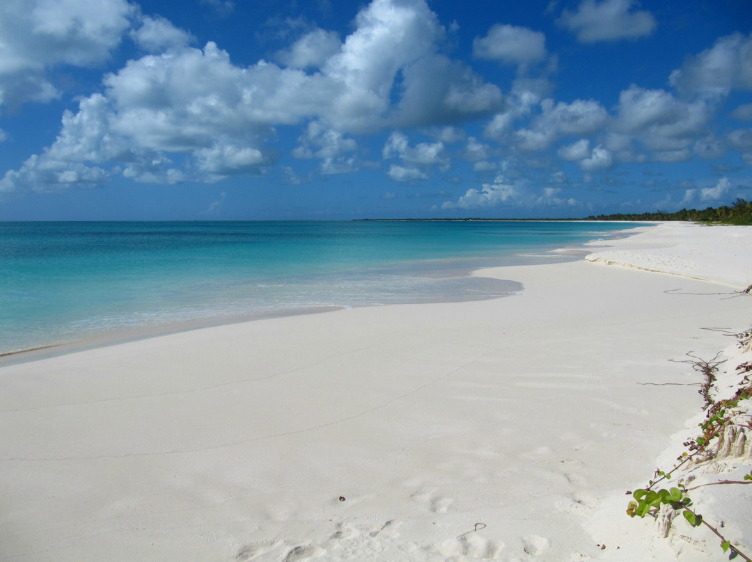17-Mile Beach-巴布达必去景点