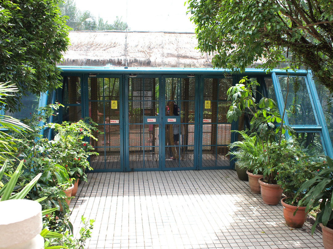 吉隆坡鸟园-吉隆坡必去景点