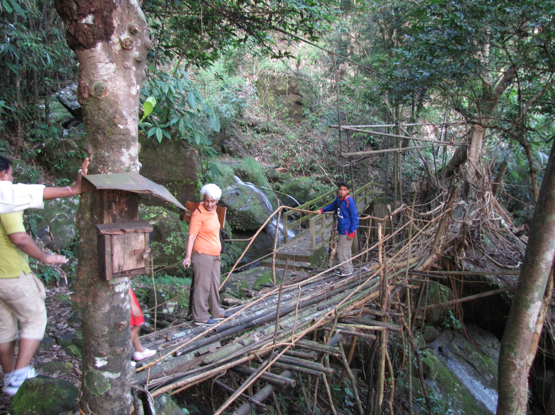 Roots Bridges景点图片