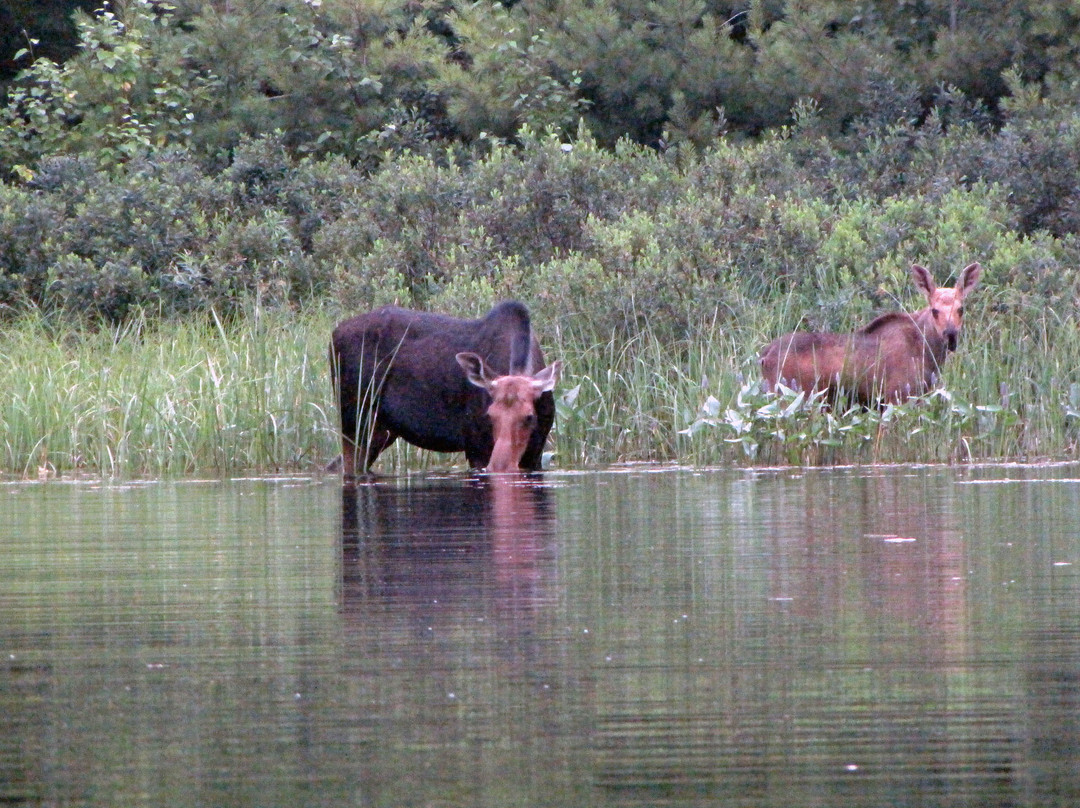 Massasauga Provincial Park-帕里桑德必去景点